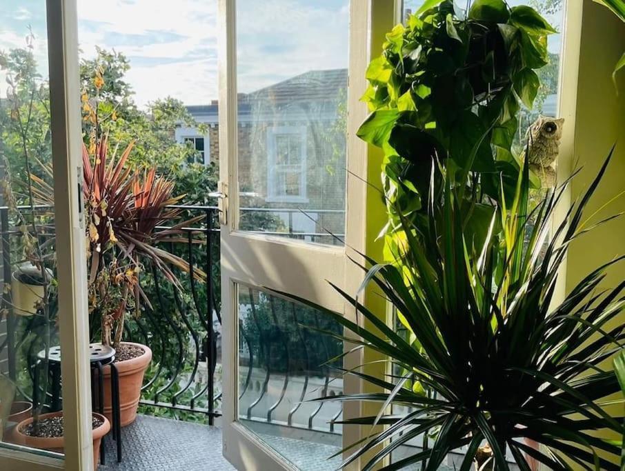 Large, Plant Filled Flat With Balcony Apartamento